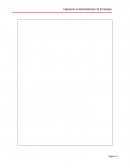 ASESORÍA TÉCNICA PARA LA EMPRESA NEUMATICOS LA FRONTERA