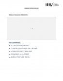 Informe Disneyland Paris