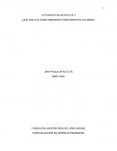 Actividad evaluativa ¿Qué son los conglomerados financieros en Colombia?