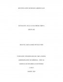 TIPOS IMPACTO AMBIENTAL