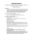 DISCRIMINACIÓN LABORAL Y TRABAJO DE CUIDADOS: EL DERECHO DE LAS MUJERES JÓVENES A NO ELEGIR