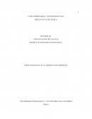 CASO EMPRESARIAL COFLONORTE LTDA DIRECCION ESTRATEGICA