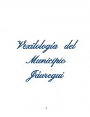 Vexilología del Municipio Jáuregui