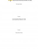 Diferencias entre entrevista, valoración psicológica y evaluación psicológica forense