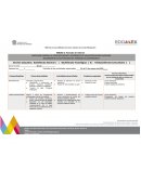 ANEXO 2. Formato de Informe