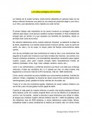 La huella ecológica del hombre