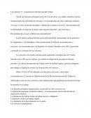 Caso práctico 11: la organización Internacional del Trabajo