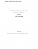 SECTOR ECONOMICO PRIMARIO, PROBLEMATICA