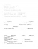 PLANTEAMIENTO SULTANA SA