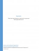 Empresa: Ergonautas S.A.