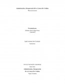 Administración y Recuperación De La Cartera De Créditos