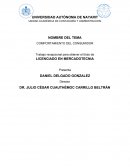 Investigación concreta del comportamiento del consumidor