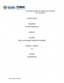 LITERATURA 2, VERDOLATRIA