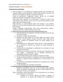 Actividad individual n°2: IDEA DE NEGOCIO