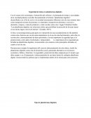 Seguridad de datos en plataformas digitales