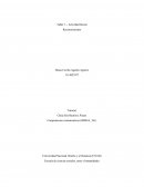 ¿Qué tipo de lectura realiza y con qué frecuencia?