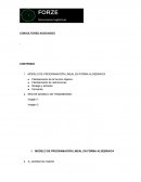 MODELO DE PROGRAMACION LINEAL ALGEBRAICO