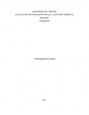 LA PSICOLOGÍA EVOLUCIONISTA Y SU IMPORTANCIA