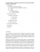 La inflación : Naturaleza, clases y efectos. Las teorías sobre la inflación. Las políticas antiinflacionistas