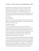 Análisis de la estructura del caso Marroquinería Lypos S.A