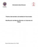 Práctica demostrativa de destilación fraccionada: Rectificación de Mezclas Binarias en Columnas de Platos