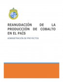 Trabajo - Reanudaccion Cobalto
