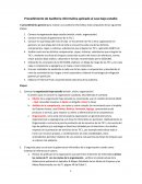 Procedimientos de auditoria informatica