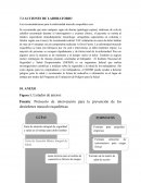 Acciones de laboratorio