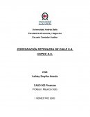 CORPORACIÓN PETROLERA DE CHILE S.A.