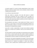 ENSAYO DERECHOS HUMANOS A que se debe que existan tantos presos?