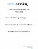 Plan de desarrollo de un Proyecto de Mejora Scharffen Berger Chocolate Marker