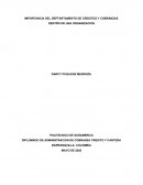 IMPORTANCIA DEL DEPTARTAMENTO DE CREDITOS Y COBRANZAS DENTRO DE UNA ORGANIZACION