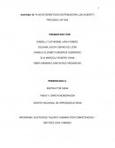 Actividad 15 Distribuidora LAP SAS