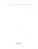 ANÁLISIS DEL CASO: HILTI: ¿GESTIÓN DEL PARQUE DE HERRAMIENTAS?