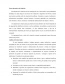 Fases alternativas de solucion