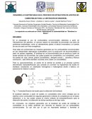 DESARROLLO SUSTENTABLE EN EL PROCESO DE EXTRACCIÓN DE ACEITES NO COMESTIBLES PARA LA OBTENCIÓN DE BIODIESEL