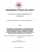 ESTUDIO DE FACTIBILIDAD PARA LA CREACIÓN DE UNA MICROEMPRESA PRODUCTORA Y COMERCIALZADORA DE PASTA ELABORADA A BASE DE HARINA DE PLÁTANO VERDE EN SAN PABLO DE COPAL, CANTÓN LA CONCORDIA, PROVINCIA SANTO DOMINGO DE LOS TSÁCHILAS