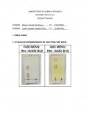 LABORATORIO DE QUÍMICA ORGÁNICA . INFORME PRÁCTICA 3 . CROMATOGRAFÍA
