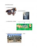 ISRAEL.CARACTERÍSTICAS POLÍTICAS