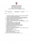 Cuestionario Nervioso, Endocrino y Órganos de los Sentidos (s/r)