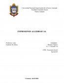 Expresiones algebraicas