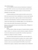 Análisis PESTEL Tejibolsos