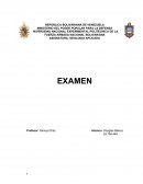 ¿Cuáles son los criterios que se deben tomar para realizar un estudio geológico?