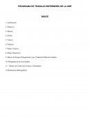 Programa de trabajo de una UMF