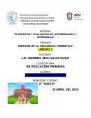 SINTESIS DE LA SECUENCIA FORMATIVA