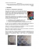 Quimica . Resultados Práctica no. 2: Esterilización y desinfección