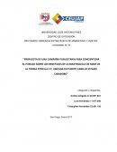 PROPUESTA DE UNA CAMPAÑA PUBLICITARIA