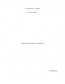 ANALISIS DE LAS METAS NACIONALES