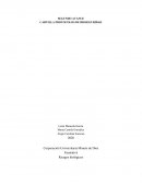 CARTILLA PROTOCOLOS DE BIOSEGURIDAD