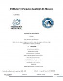 Analizar y estudiar el comportamiento de una viga cantiliver